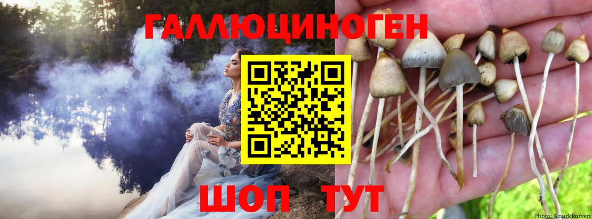 Кольчугино  наркошоп  Вход с VPN  Галлюциногенные грибы Magic Shrooms  Псилоцибиновые грибы прущие грибы 