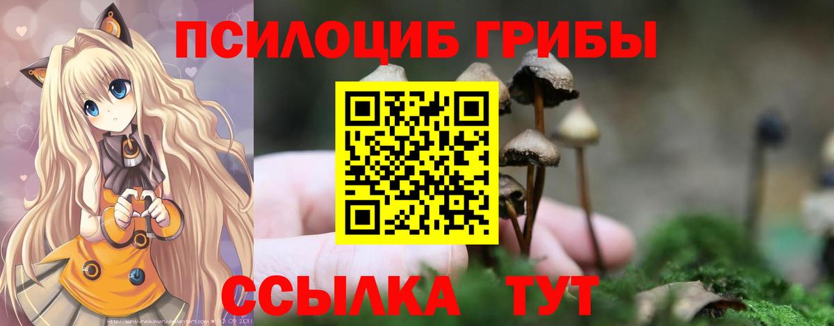 Галлюциногенные грибы ЛСД Кольчугино